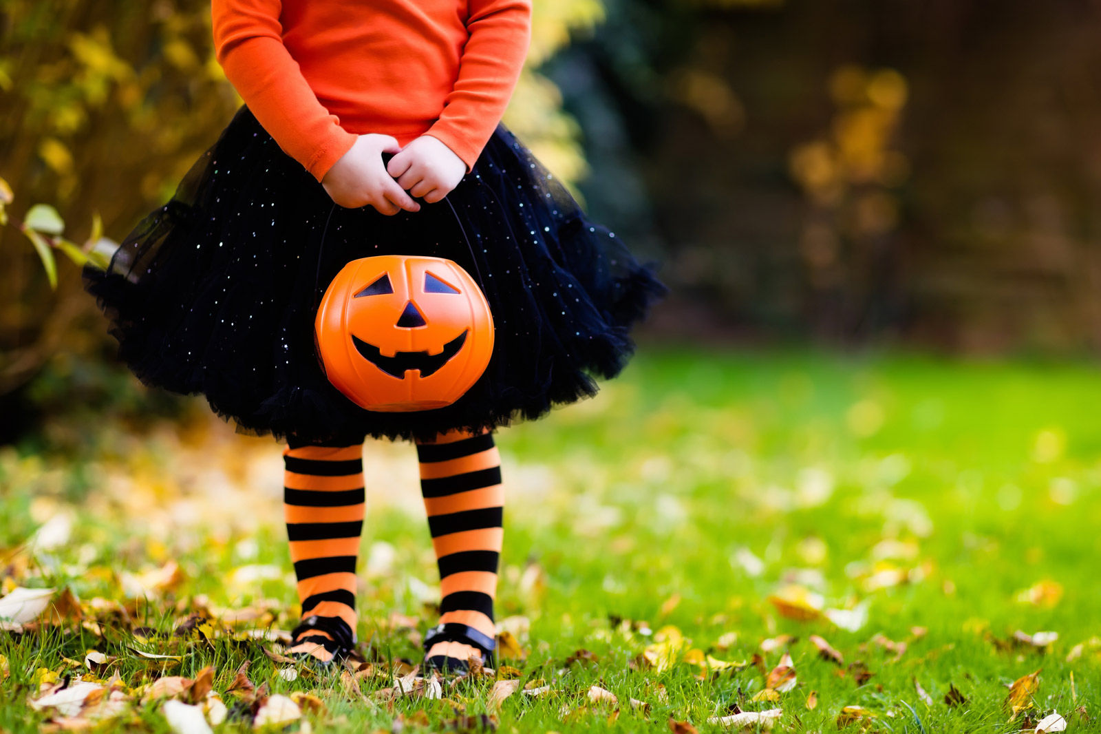 Check out some of these fun Halloween events from your hotel in Regina.