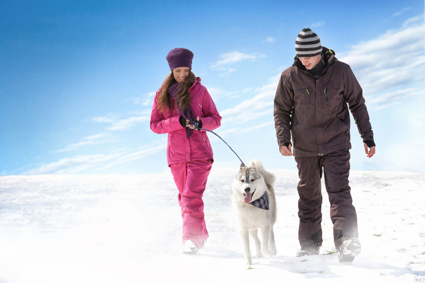 Prepare your dog for walking in winter when visiting Regina, Saskatchewan hotels. 